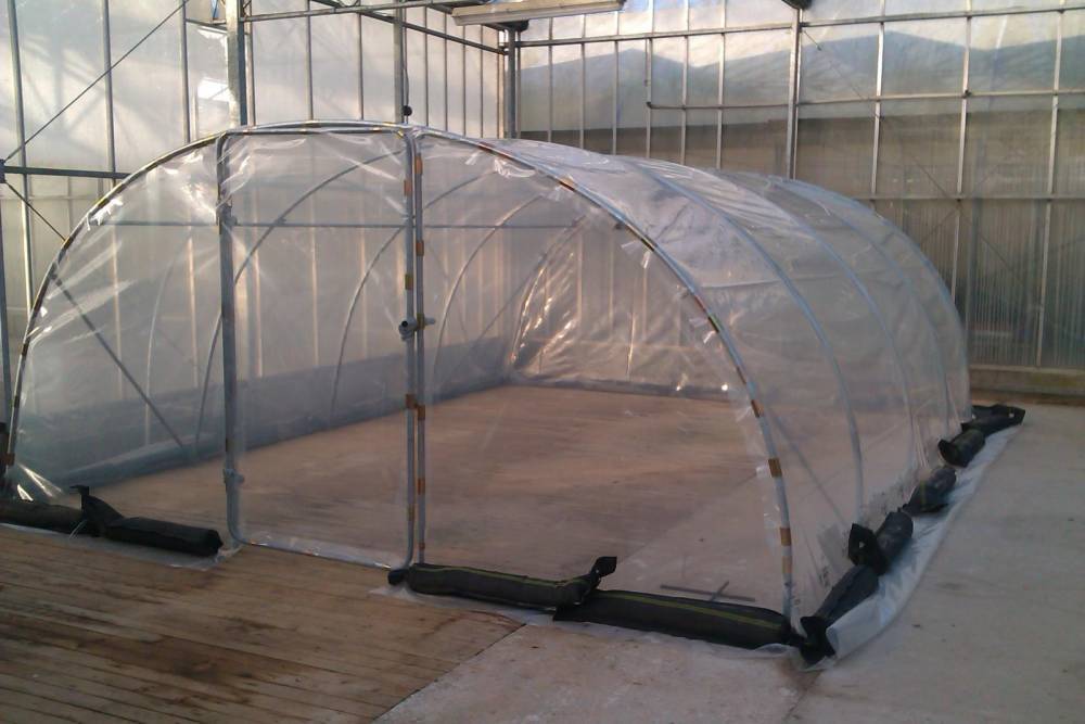 Serre Tunnel 4m50 x 6m x 2m10 pour cultiver l'ensemble des légumes