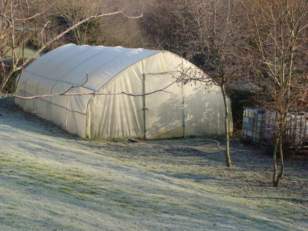 Serre Tunnel 6m x 6m x 3m : idéal pour les grands jardiniers