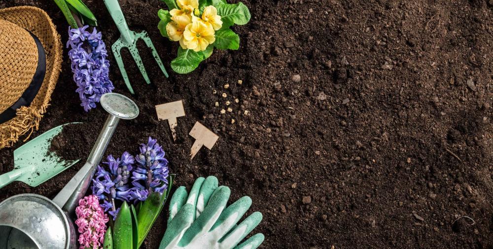 Articles de jardin à Senlecques